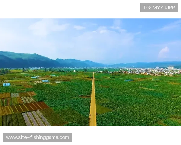 大通中心勇士新主场获可持续发展认证彰显绿色创新理念