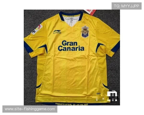 意甲球衣赞助收入创新高，阿迪达斯、李宁竞争市场